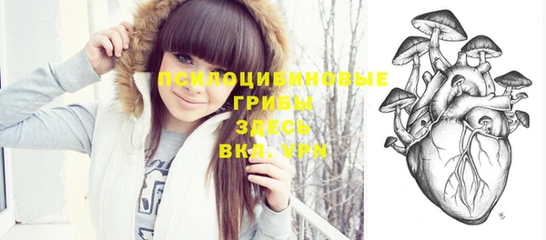 стафф Беломорск