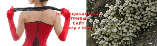 стафф Беломорск