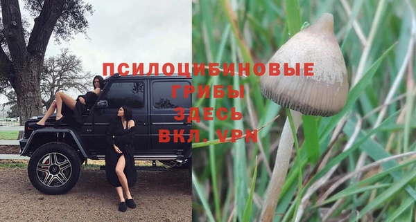 COCAINE Белоозёрский